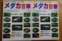 代金振込限定　メダカ百華VOL.20　1冊送料込￥2,400