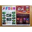 画像2: 代金振込限定　メダカ百華VOL.20　1冊送料込￥2,400 (2)