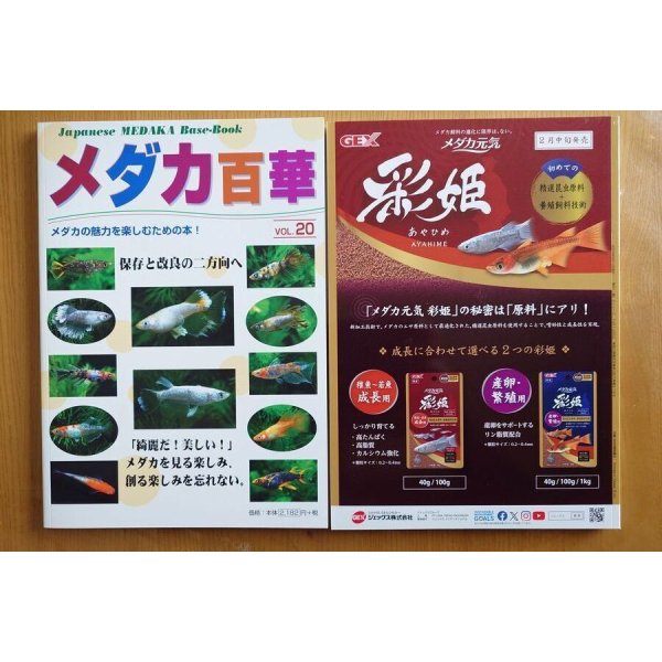 画像2: 代金振込限定　メダカ百華VOL.20　1冊送料込￥2,400