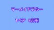 画像1: マーメイドブルー　1ペア　8万円 (1)